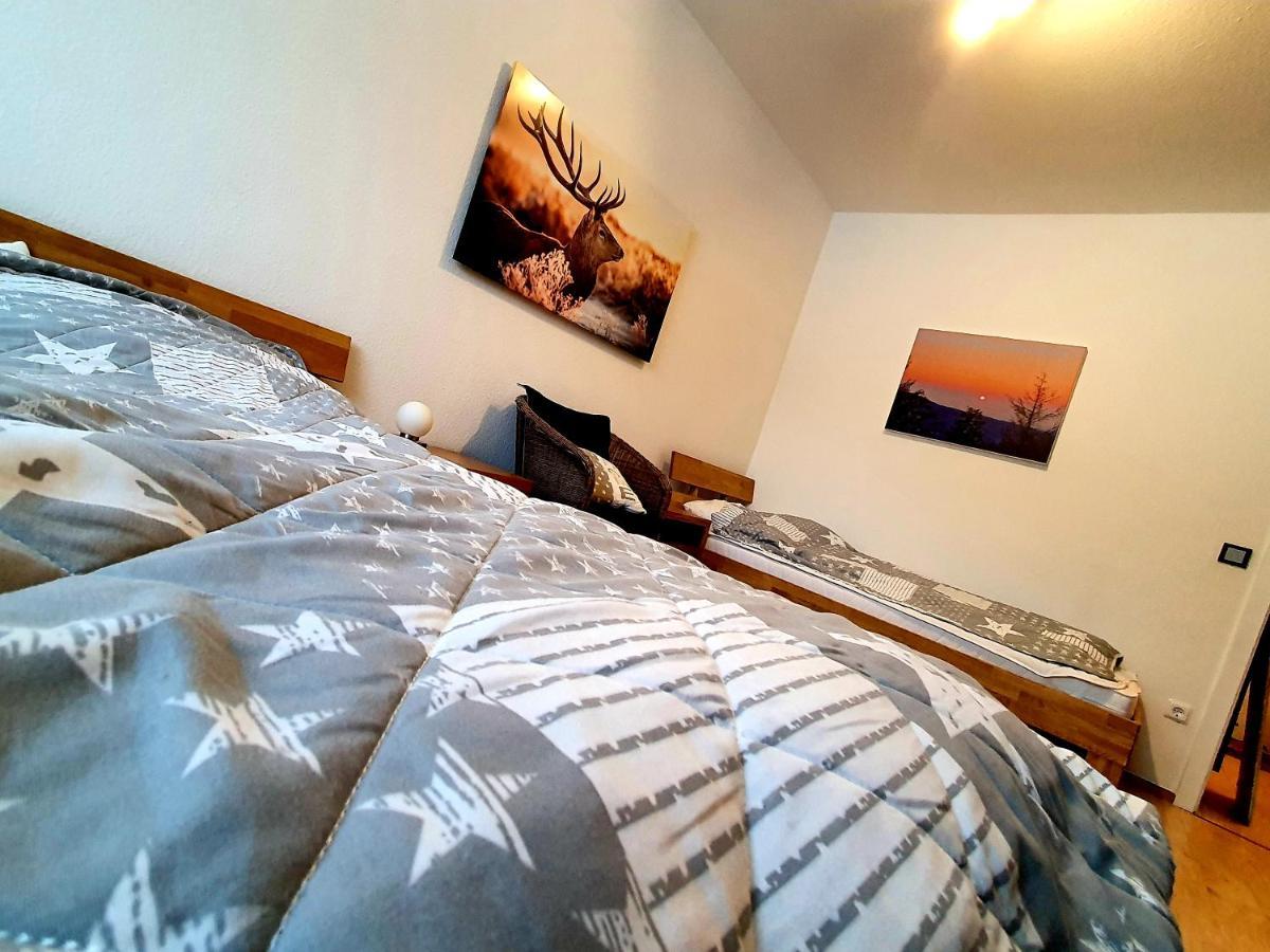 Apartment Anke Braunlage Esterno foto