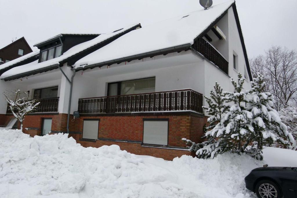 Apartment Anke Braunlage Esterno foto